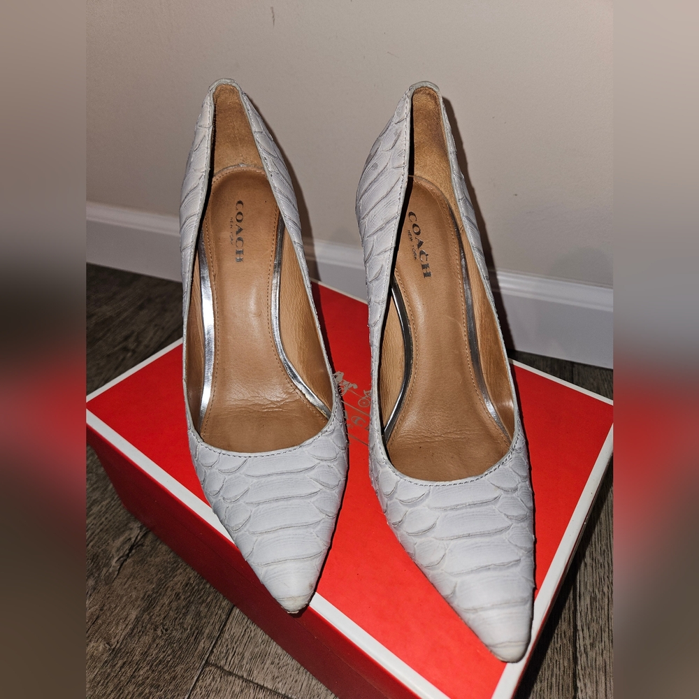 Coach heels (Cat Not included)